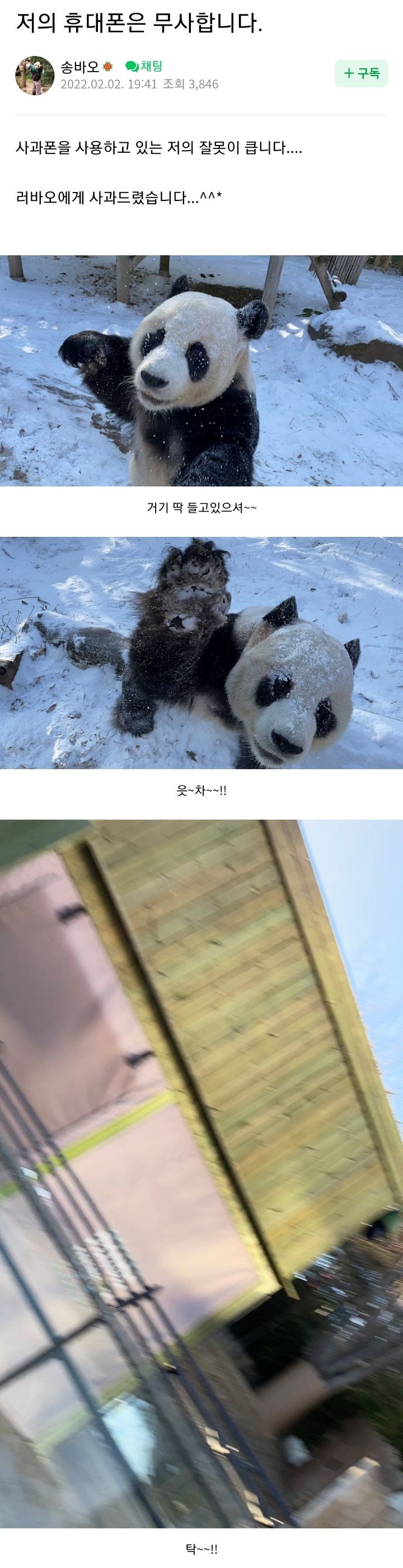 송바오의 아이폰을 본 삼성직원 러바오.gif | 인스티즈