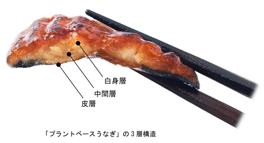 미친장어 이미지