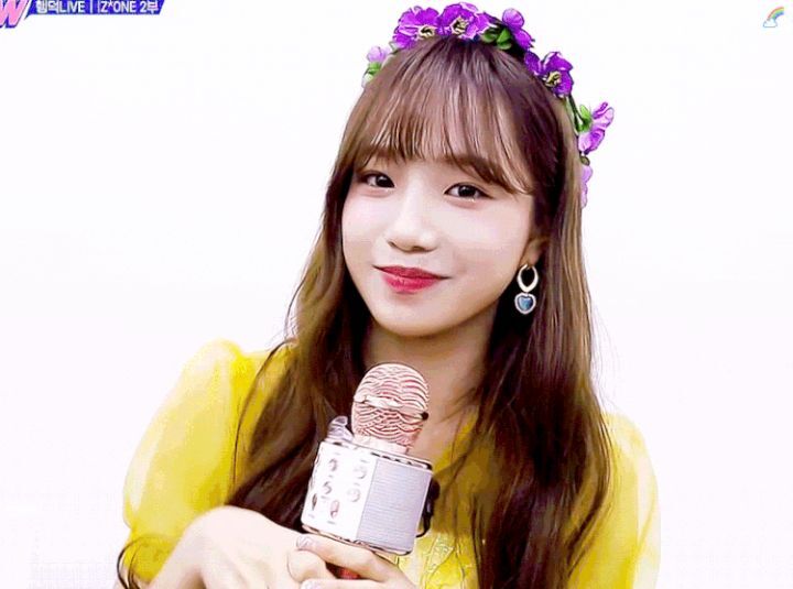 본인이 아이즈원에서 제일 좋아하는 최애 멤버는? | 인스티즈