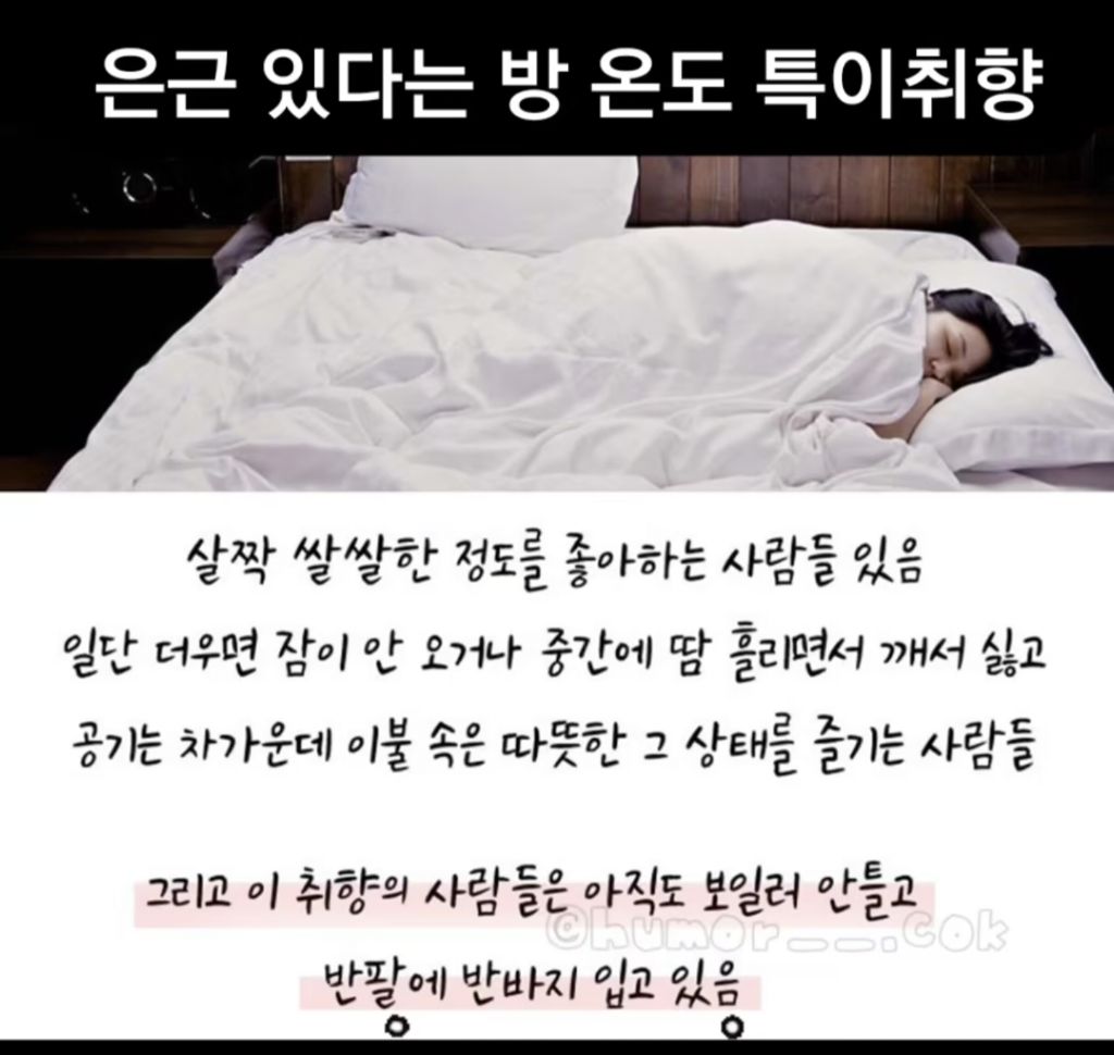 취향의온도 이미지