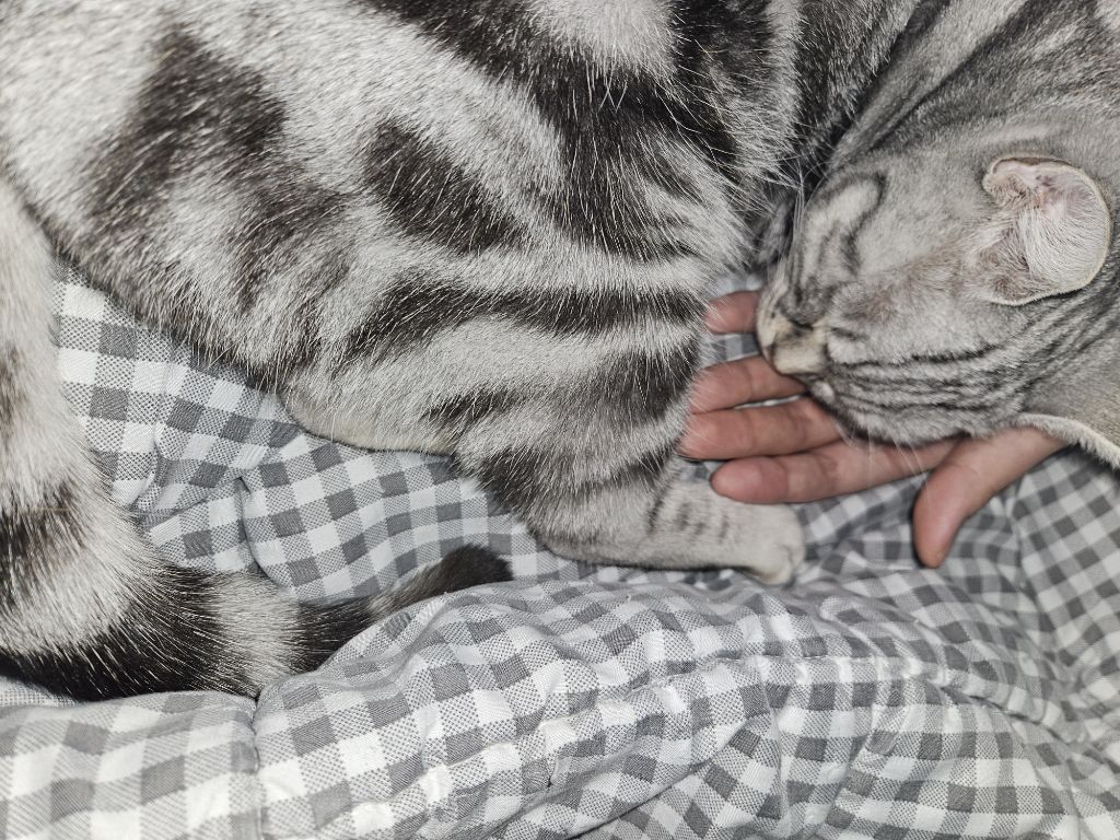 진짜 하루 왠 종일 잠만잠 - ☆ ··· 자유토크방 - 樂soccer