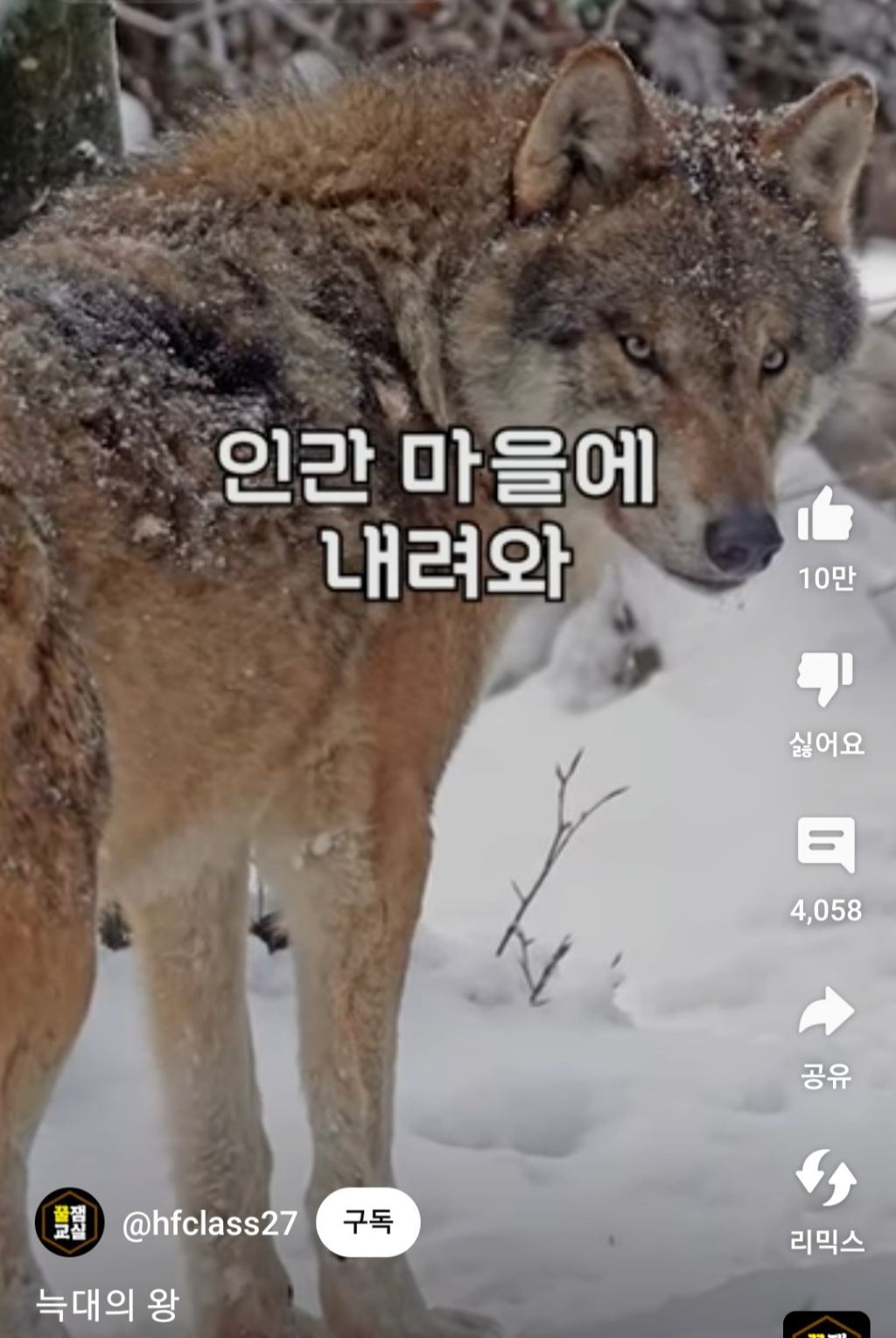 간지왕 이미지