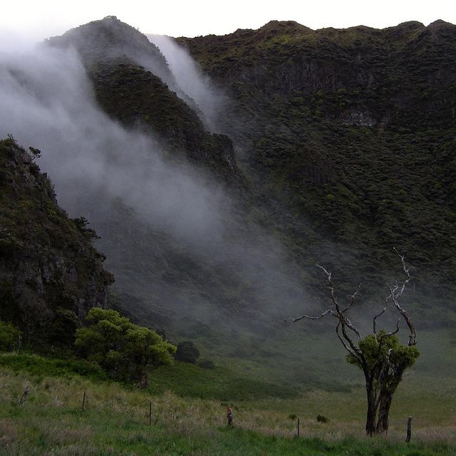 외계 행성을 배경으로 한 SF영화에 어김없이 등장하는 곳, 할레아칼라 국립공원.jpg | 인스티즈