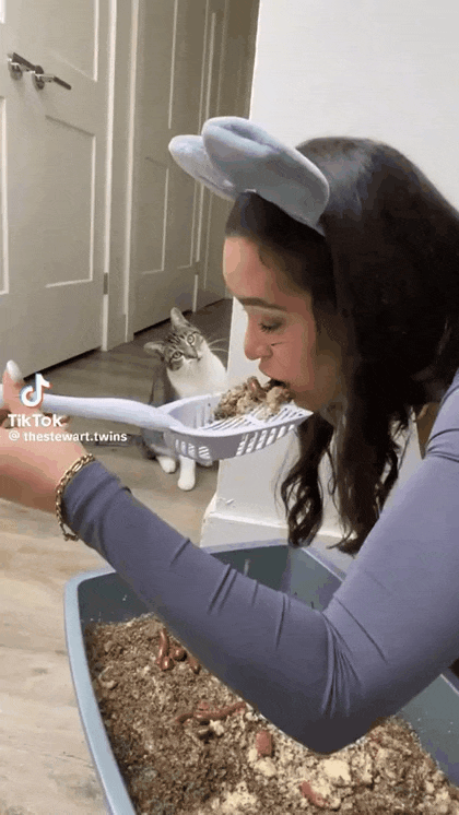 고양이 앞에서 똥 먹는척 해보기.gif | 인스티즈