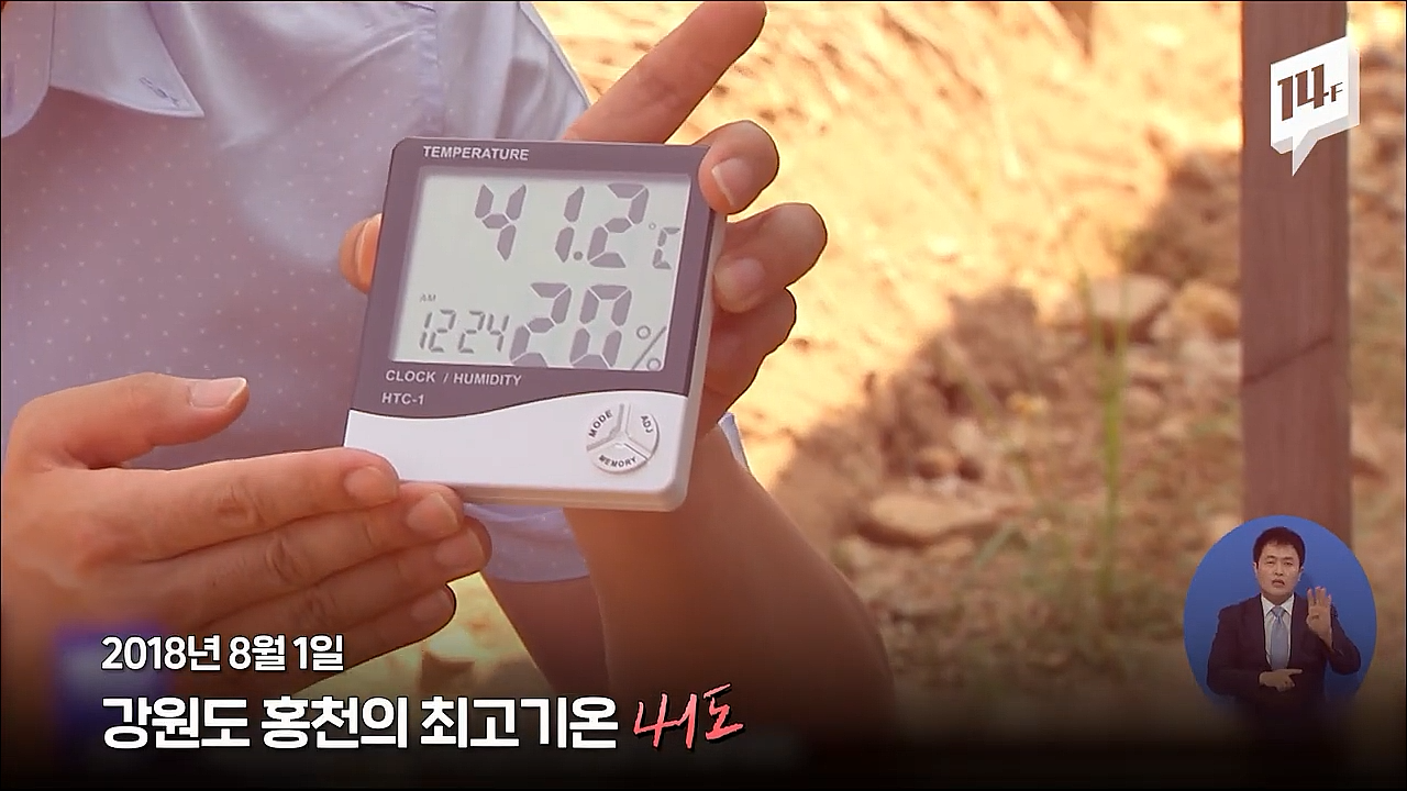 오늘 아무리 더워도 우린 그보다 더 힘들었던 2018년 폭염을 견뎌냈었다... | 인스티즈