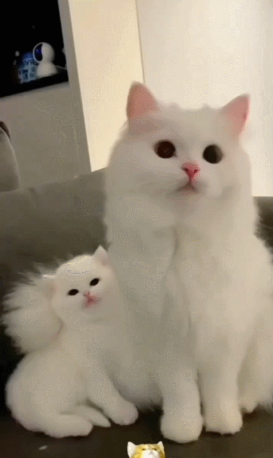 엄마와 아기.gif | 인스티즈