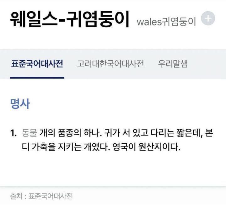 웰시코기의 한국어 명칭.jpg | 인스티즈