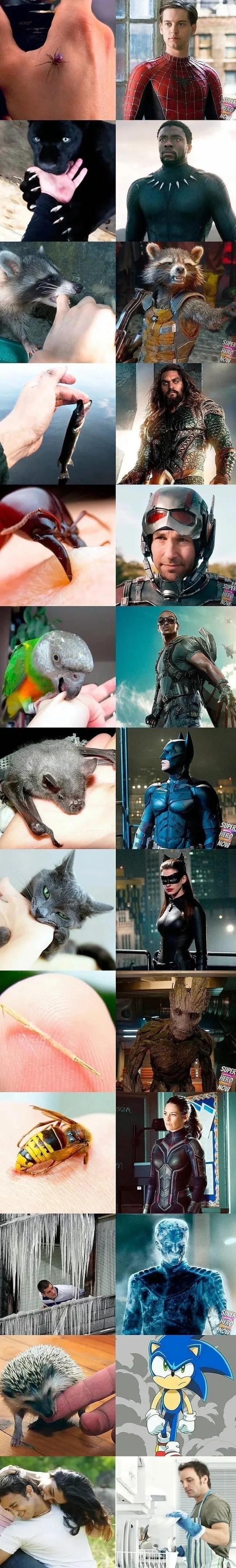 물리면 벌어지는 일.jpg | 인스티즈