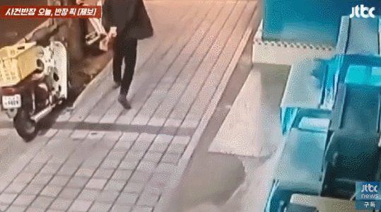 야심한 밤 횟집 수족관에 냅다 발길질 하고 유유히 사라지는 남성.gif | 인스티즈