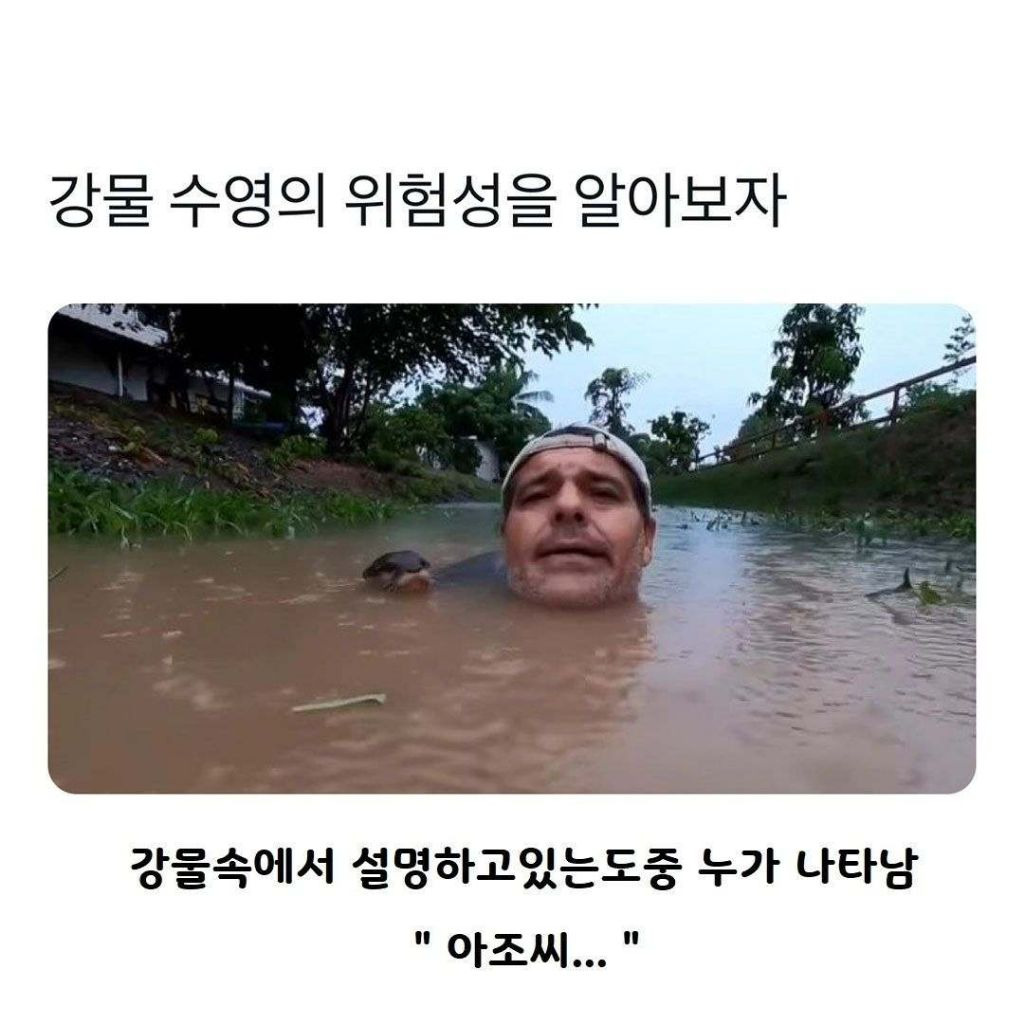 강물 수영의 위험성 | 인스티즈