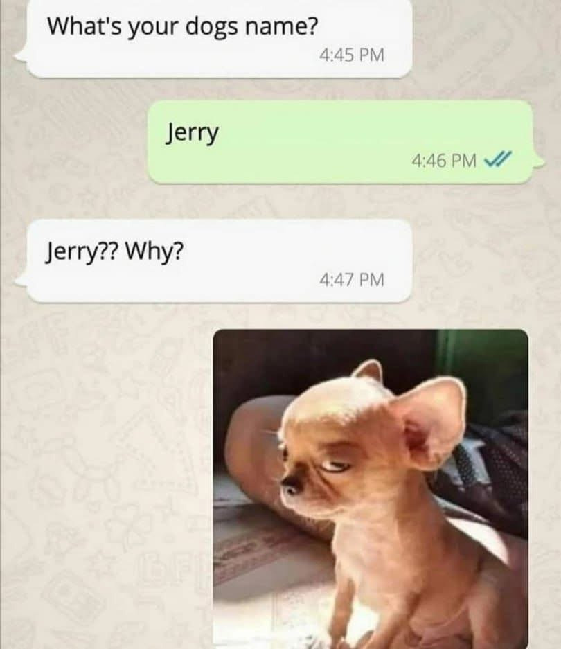 너희집 이미지