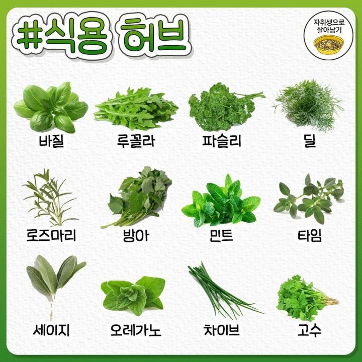 알아두면 유용한 식재료별 명칭 완벽 총정리.jpg | 인스티즈