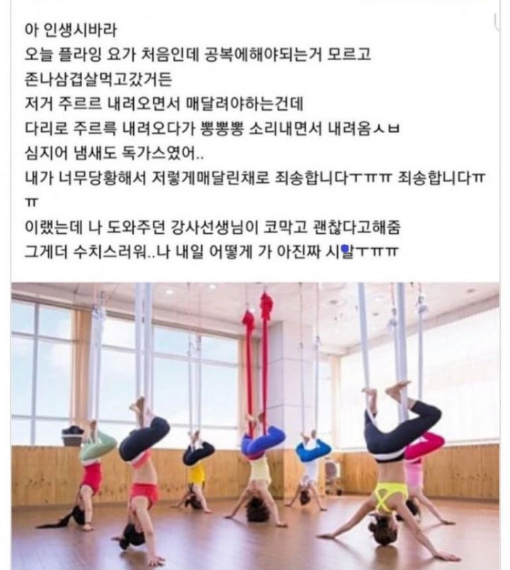 수치스러운 플라잉요가 후기 | 인스티즈