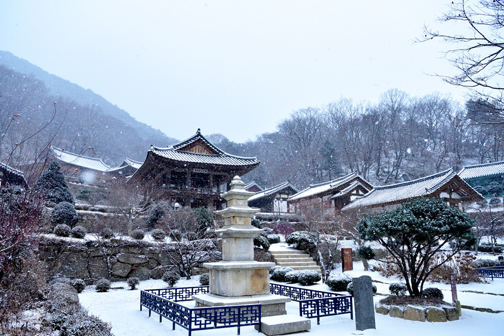 영주 이미지