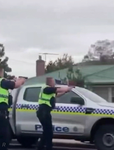 칼든 용의자 재빨리 제압하는 호주경찰.gif | 인스티즈