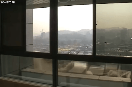 1994년 여의도 라이프빌딩 폭파 철거장면.gif | 인스티즈