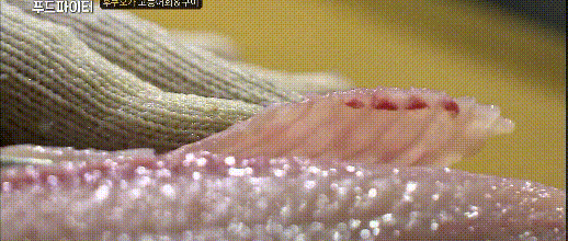 고등어 회.gif | 인스티즈