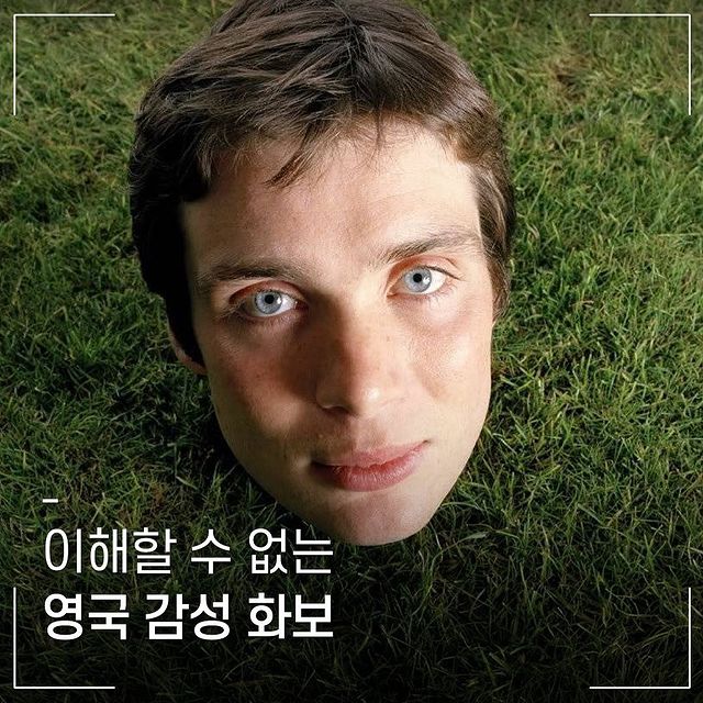 이해할 수 없는 영국 감성 화보.jpg | 인스티즈