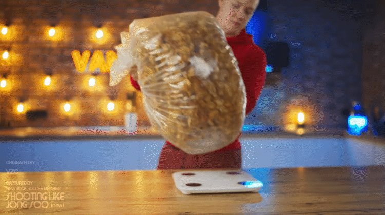 감자 한포대(35kg)로 만들 수 있는 감자칩의 양.gif | 인스티즈