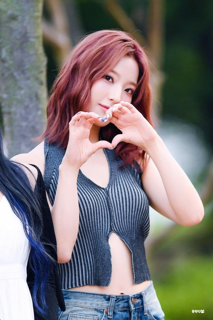 새롬 이미지