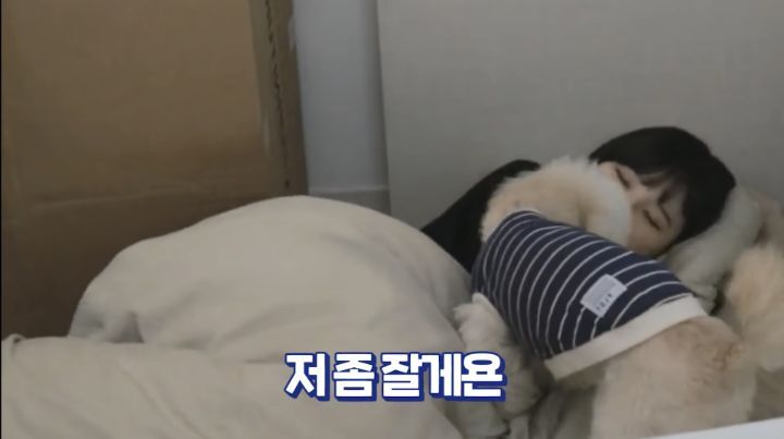 자면서도 할건 다 하는 트위치 스트리머 우정잉...jpg | 인스티즈