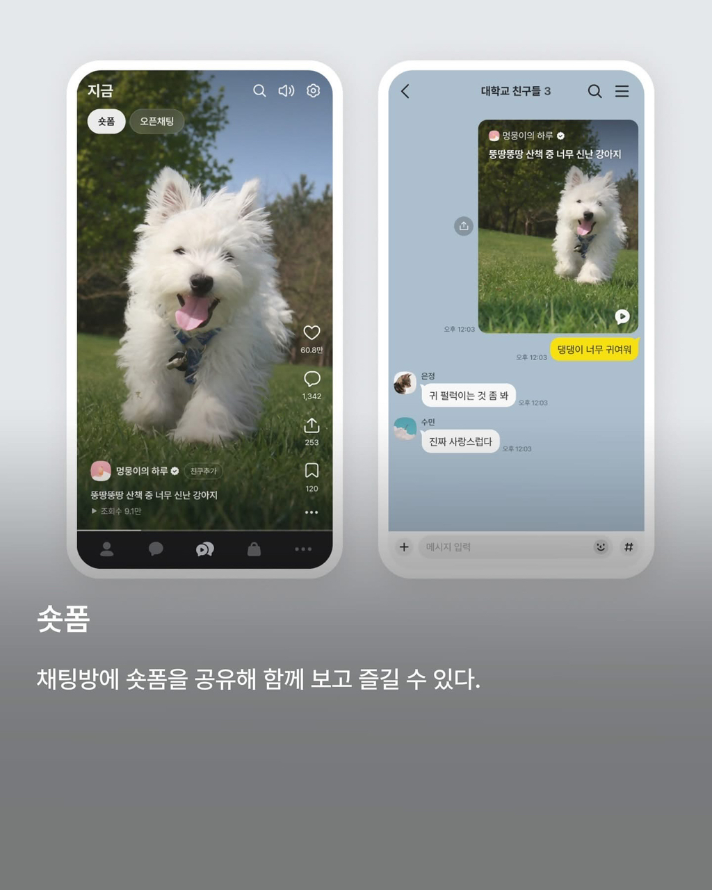 카카오톡 주요 업뎃 내용 | 인스티즈