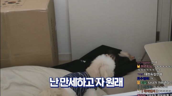 자면서도 할건 다 하는 트위치 스트리머 우정잉...jpg | 인스티즈