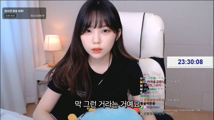 하다하다 바탕화면까지 파는 스트리머 우정잉.jpg | 인스티즈