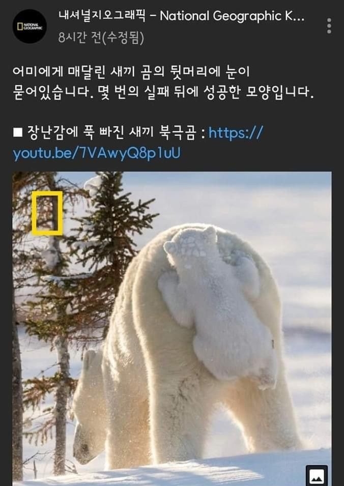 내셔널지오그래픽 이미지