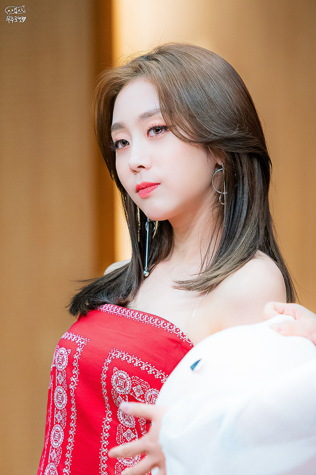 빨간여우 이미지