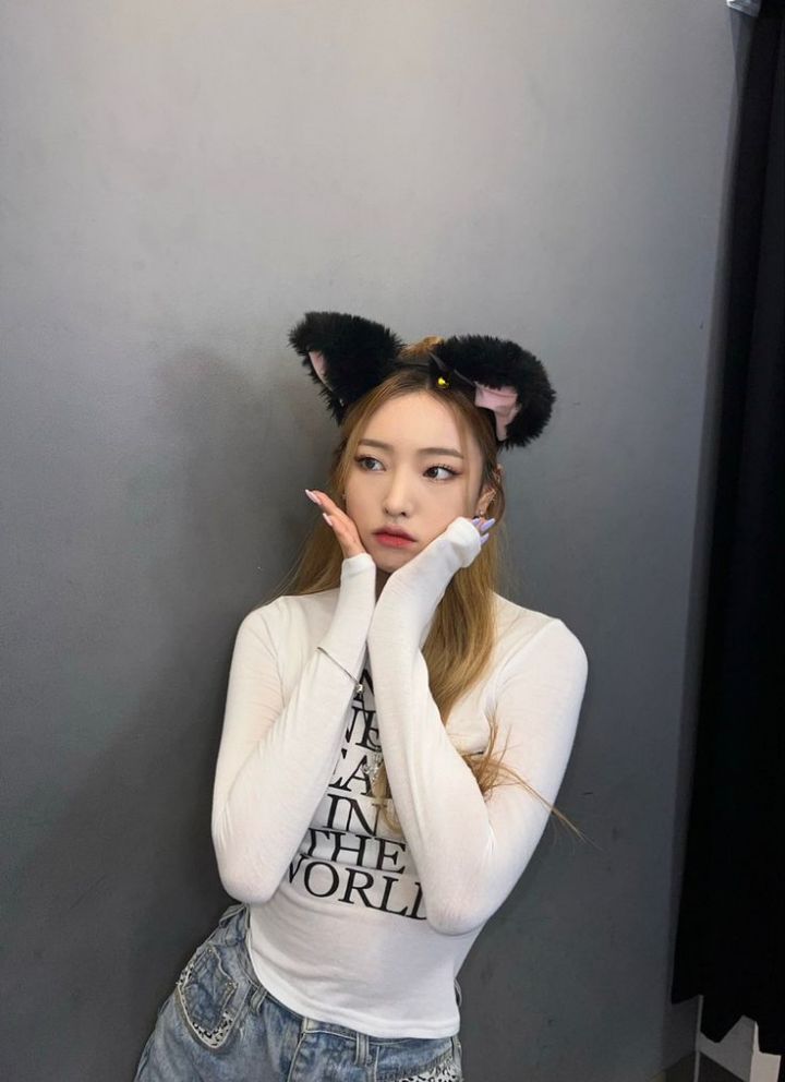 하이엘 이미지