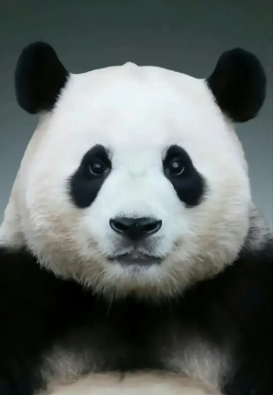 남들 다 하는 거 같은데 나만 관심 없는거 같은?? | 인스티즈