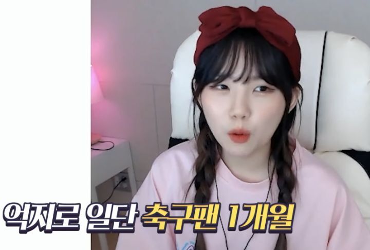 편견 없는 스트리머 우정잉.jpg (feat. 오바메양) | 인스티즈