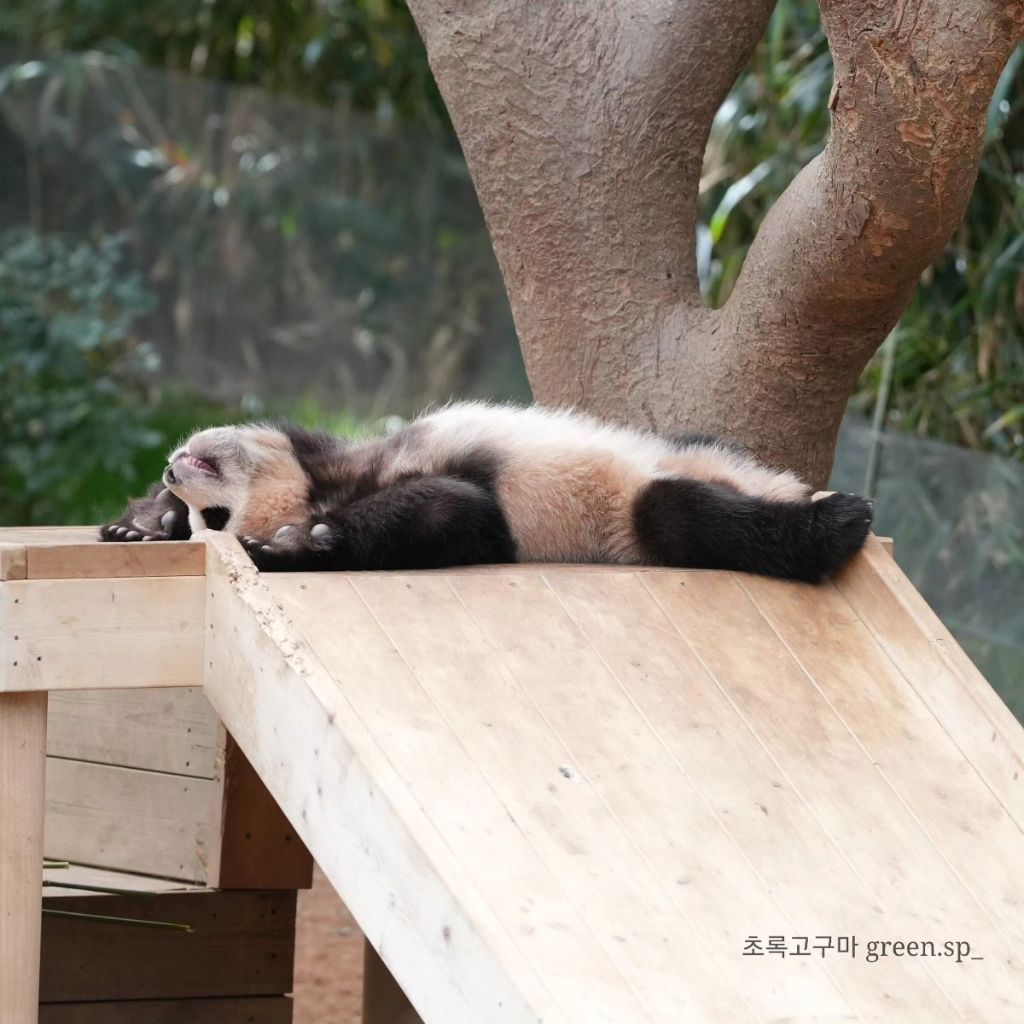 모전여전 이미지