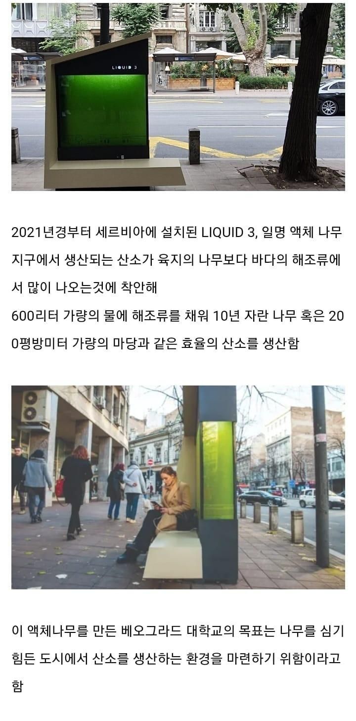액체로 된 나무를 설치한 나라 | 인스티즈