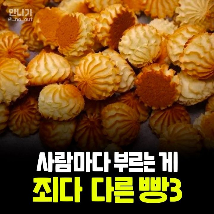 사람과사진 이미지