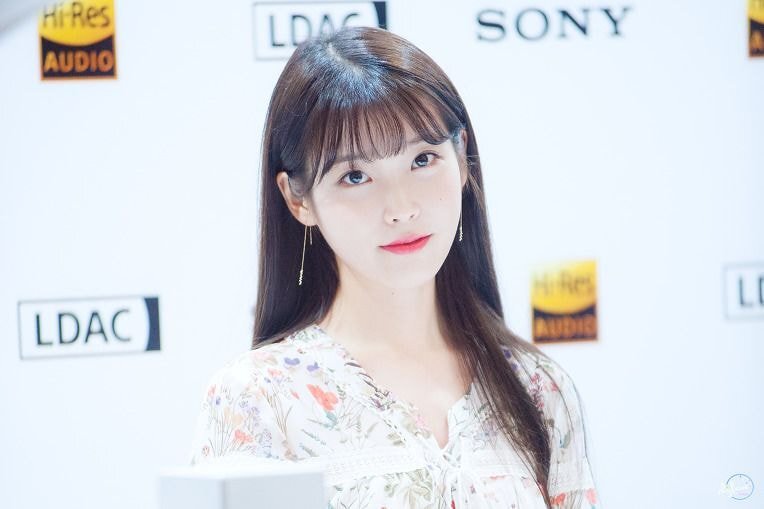 아이유 팬들 사이에서 끊임없이 일어나는 논쟁 | 인스티즈