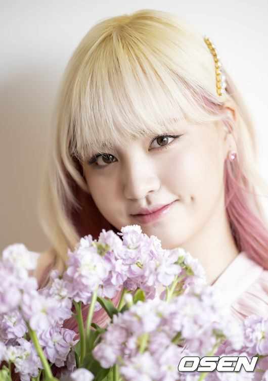 리즈 이미지