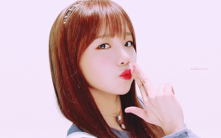 본인이 아이즈원에서 제일 좋아하는 최애 멤버는? | 인스티즈