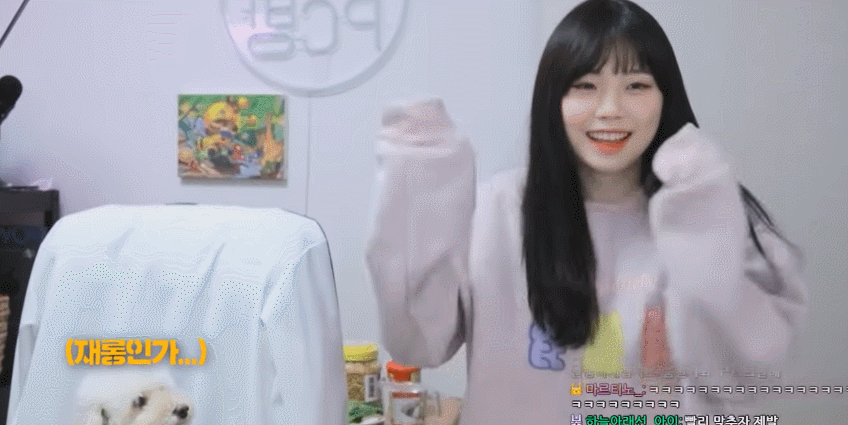 트위치 스트리머 우정잉의 랜덤플레이댄스.gif | 인스티즈