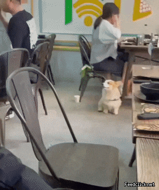 지금 나 찍는거야.gif | 인스티즈
