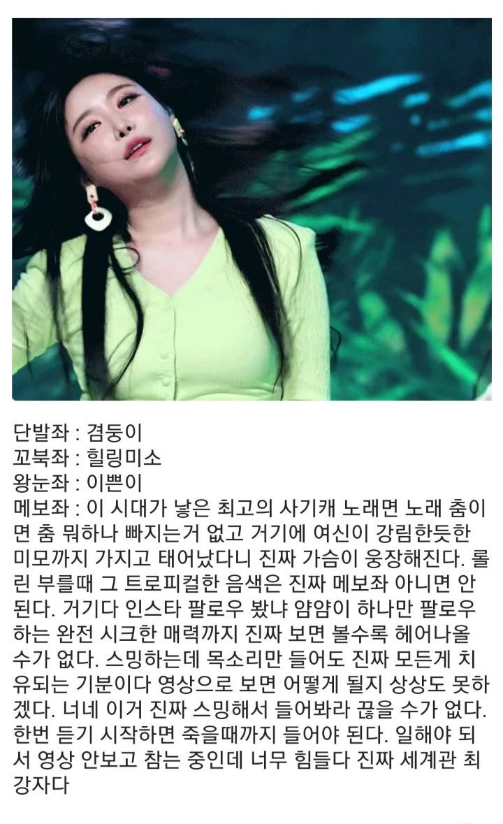 (브레이브걸스)흔한 브레이브걸스 올팬.jpg | 인스티즈