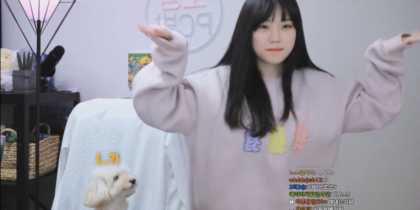 트위치 스트리머 우정잉의 랜덤플레이댄스.gif | 인스티즈