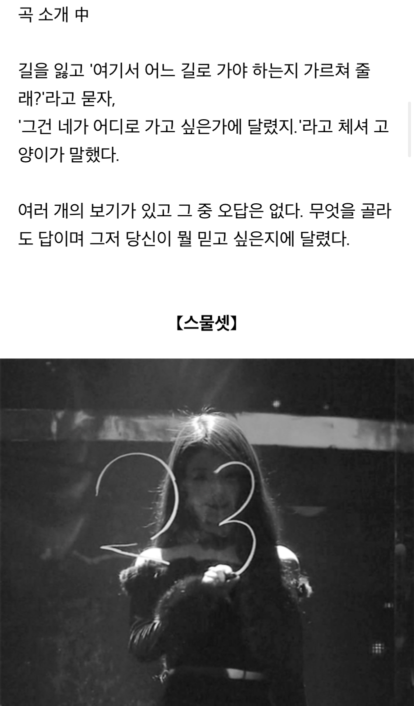 개얼탱이 없는 집단 여성시대 | 인스티즈