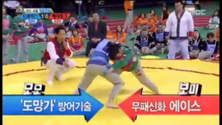 보미 이미지