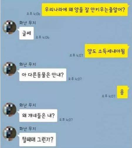 우리나라에서 양을 잘 키우지 않는 이유 | 인스티즈