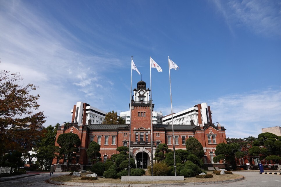 서울대학교병원 이미지