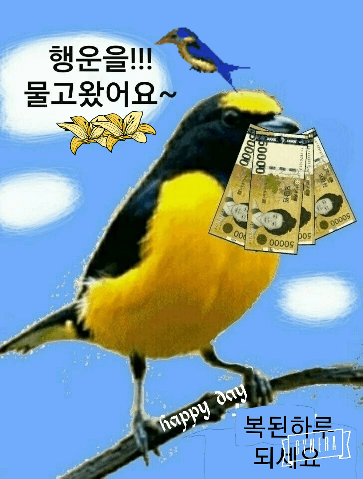 카페 프로필 이미지