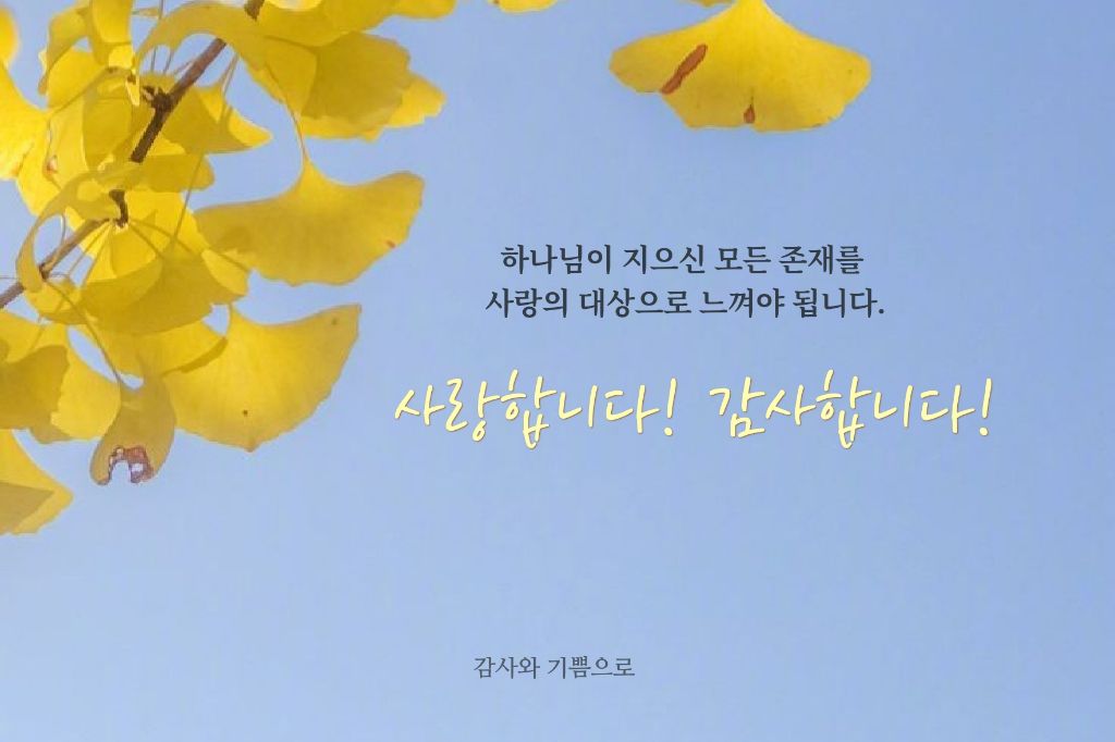 만물사 이미지