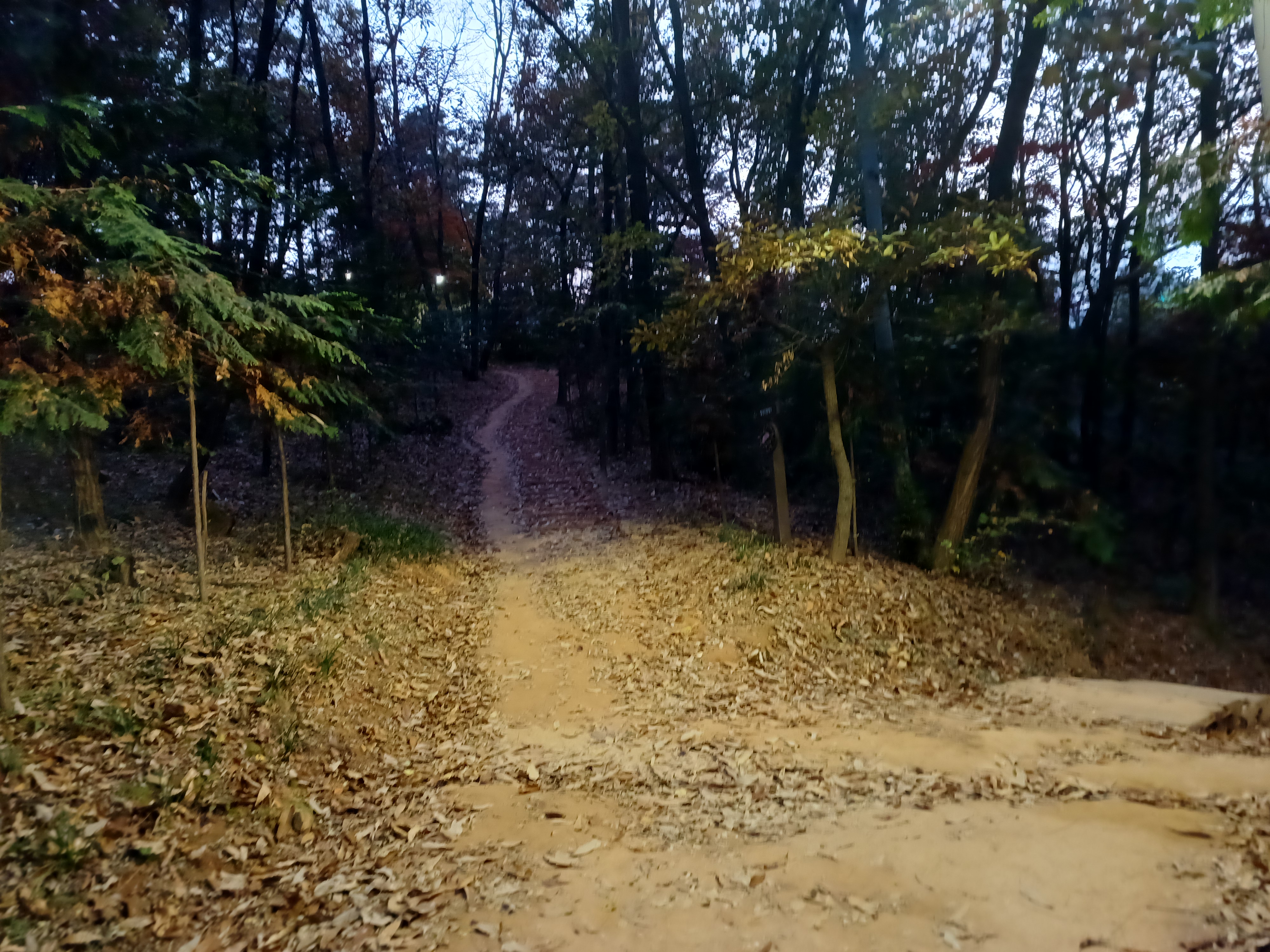 야시골공원 이미지